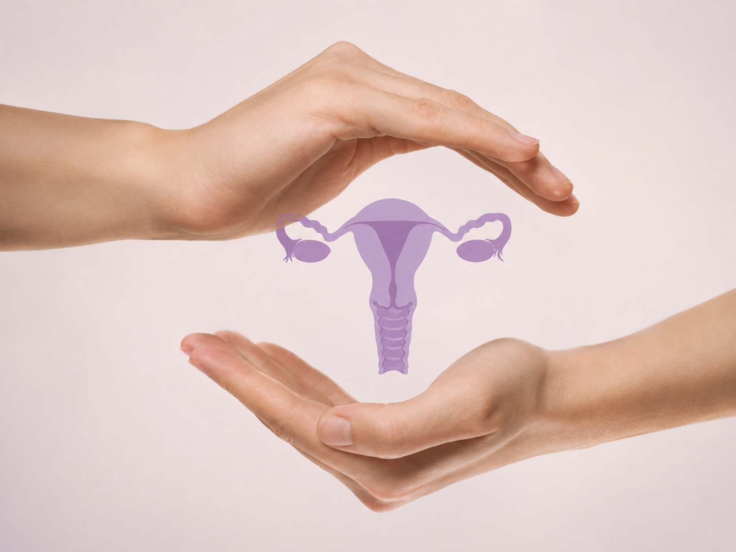 Ginecología funcional y obstetricia - imagen 1